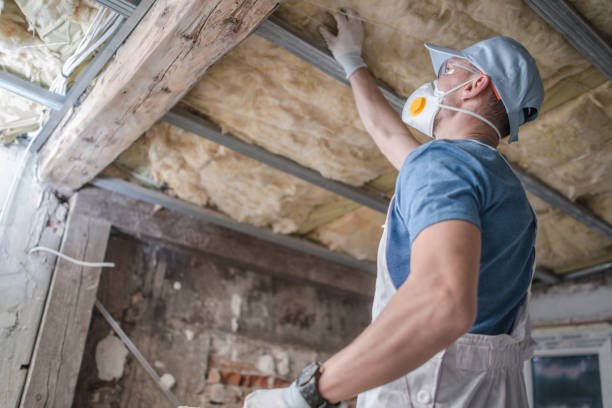 Best Residential Insulation in Archbald, PA